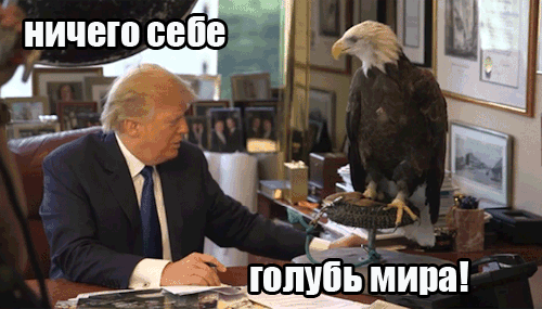 tumblr_nz4713W6hp1rnskvzo1_500