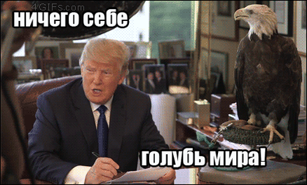 tumblr_nz4hf6q9wF1tlb56zo1_500