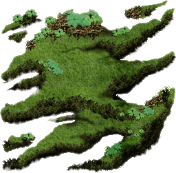 bush_3