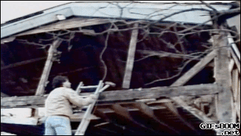 1457133690-008010153532e6156b86f63d92513e4e41546