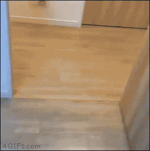 tumblr_o3t78iD56t1tlb56zo1_400