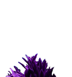 7f2c1169fb3939b3694ce65aae7942c5