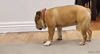 1459201484-4018dc8adde787759cb42b7ffd90c388