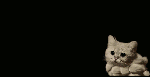gifs_11 (2)