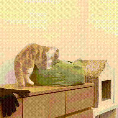 gifcats_yapfiles.ru