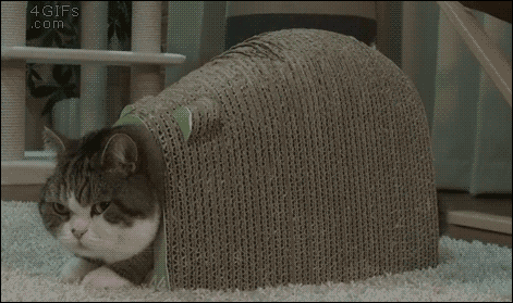 4_yapfiles.ru