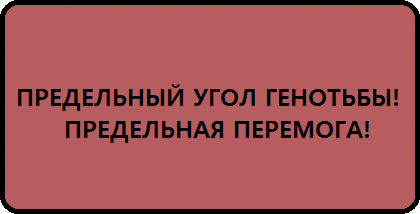 14186899135940lfrh2