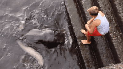 1460107416-15bdc4da5dc6939df3afafef9305c639