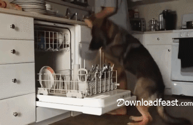 1460239522-0c728f1066577bb34c05519071aa55c8