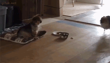 1461046680-b900c0888f239d4ece567d47e17bca9a