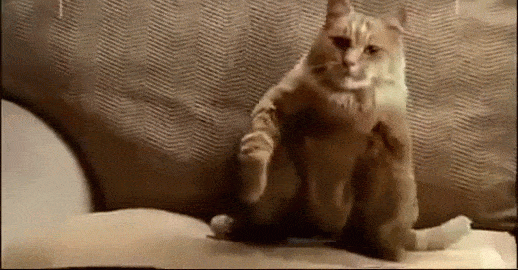 7810577299e823d6e4d09c69f00667c2__1920x