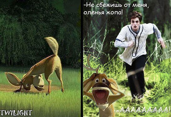 x_2fb5f1b6