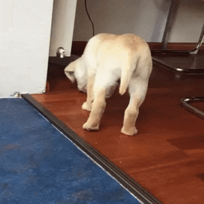 1461460309-5ca2520344bee76b85932487cb648b70