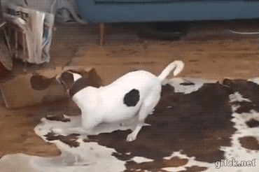 1461513179-7fc92f41b2f2fc67678522d2a916bf71