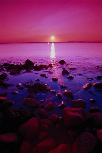 krasota_prirodi_zakat_15