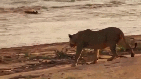 1462298511-b32ab1874d0f9666f2d041a466004577