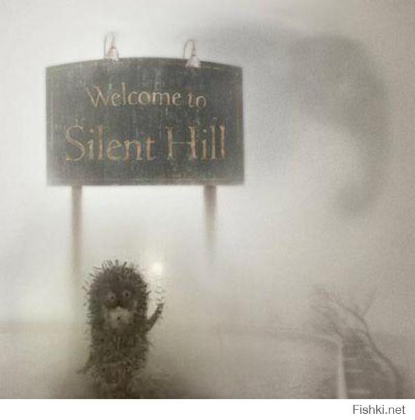 Silent Йожег