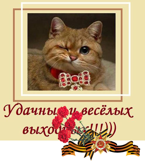6нг