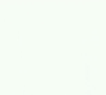 990098_WhiteBleached_350
