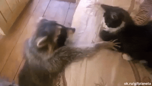 1463048362-bb472cac0652581fc761f43ad54a6cb4