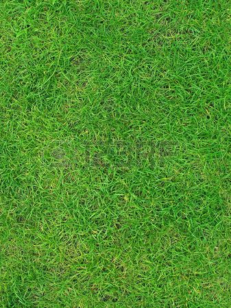 385512-juicy-green-grass-seamless-texture-background
