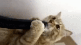 ezgif.com-gif-maker