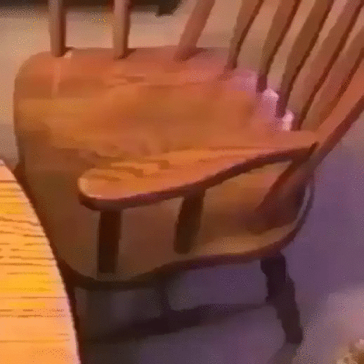 pgEGV1M