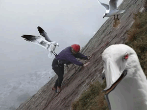 Мастерский-пролёт