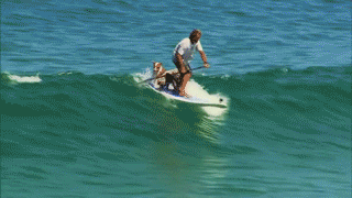 serfingsobakeny2903790_yapfiles.ru