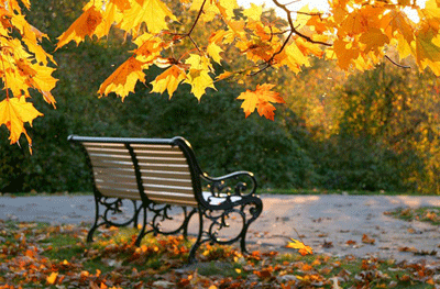 -золотой-листопад