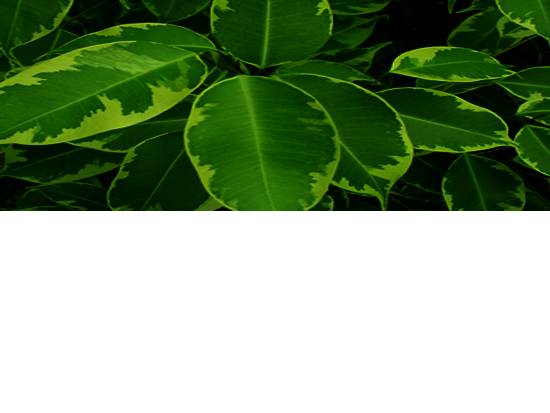 44432434_yapfiles.ru