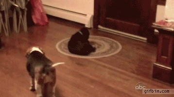 gifs_07 (47)