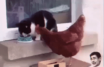 IMG_20160608_143635_0