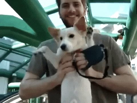 02_yapfil354234es.ru (7)