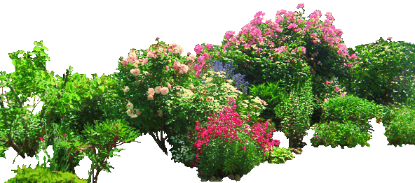flowered_garden_png_03_by_montvalentstock-d4gyg0h