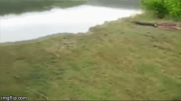 wtusmjid5cxw4ej7foro