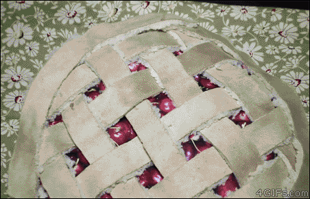 gif-котэ-пирог-3157878