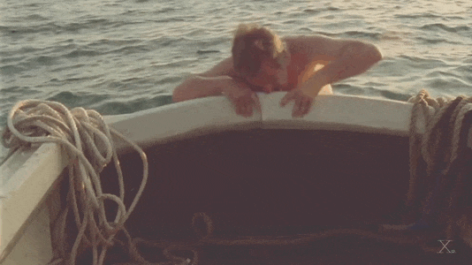 Funny-shark-gif
