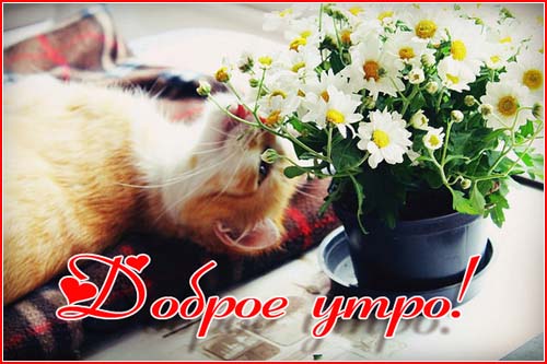 утро