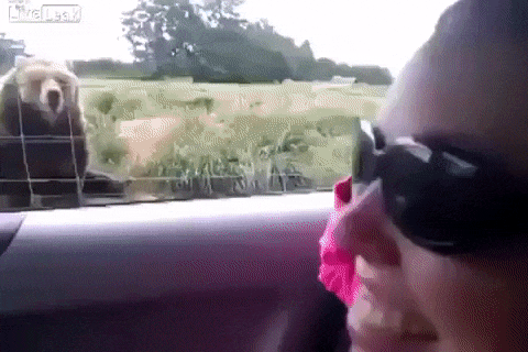 привет