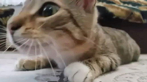 00000
