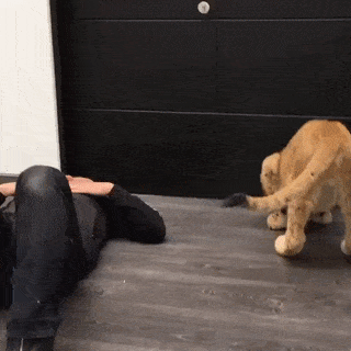 c816b7bb1522465a1fefb677d5835f2b