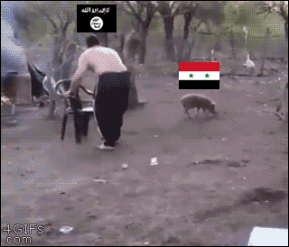 ISIS-vs-Assad-Russia-responds-France-bystander