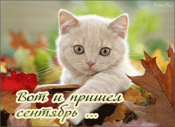 СЕНТЯБРЬ