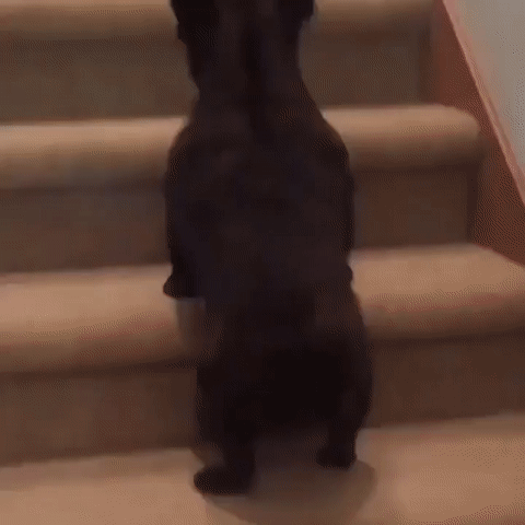 1473364724143252249