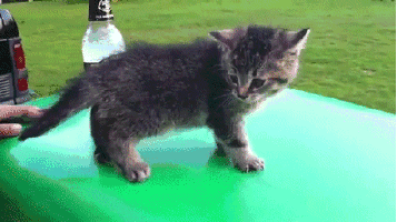 izbezhattjazhelogopohmelja