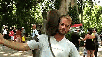 fcade200237a1740986f9919eeaae9e1