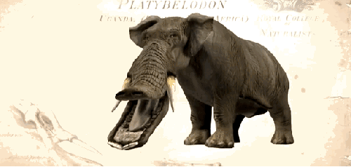 Платибелодоны – это вымершие травоядные животные, относящиеся к слонам (хоботным) которые бродили по