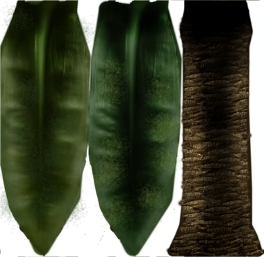 карта пальма