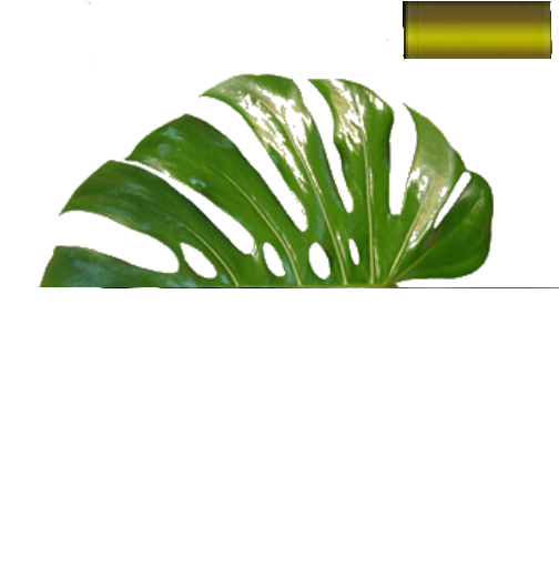 0_baf6b_1af854e2_X5L